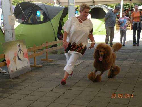 Running on CAC Karlovac 2014.