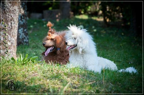 Amber and I in my garden.