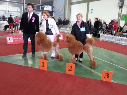 CACIB Zagreb 2014.