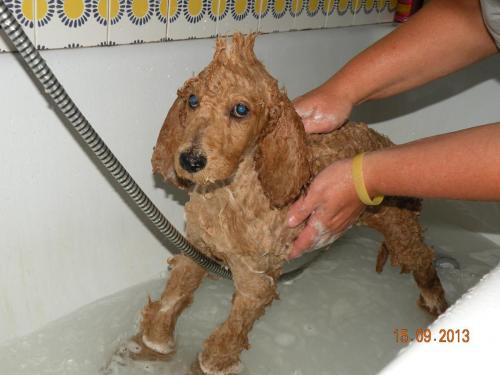 First bath
